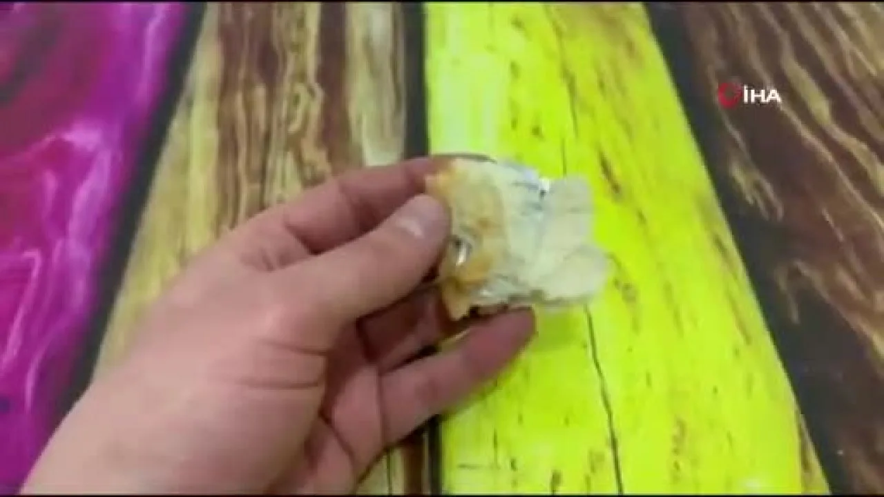 Ekmeğin içinden çıkanı görünce şok oldu