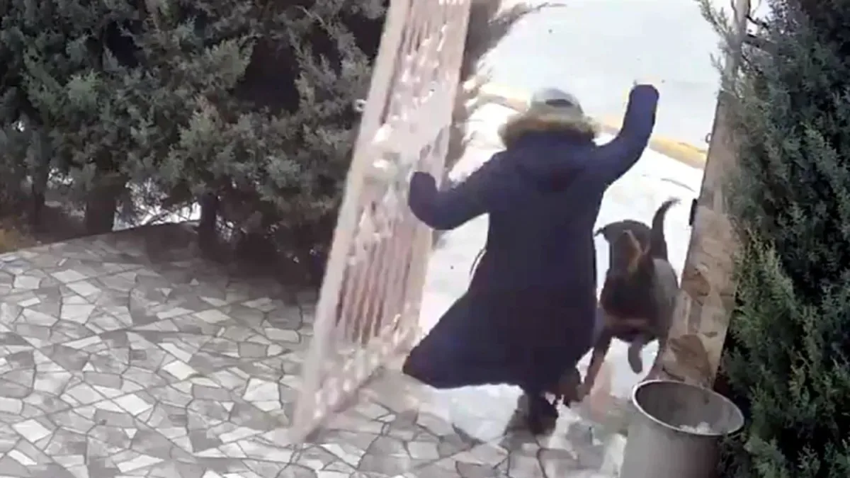 Elmadağ’da Köpek Saldırısı: Kadın Hastaneye Kaldırıldı