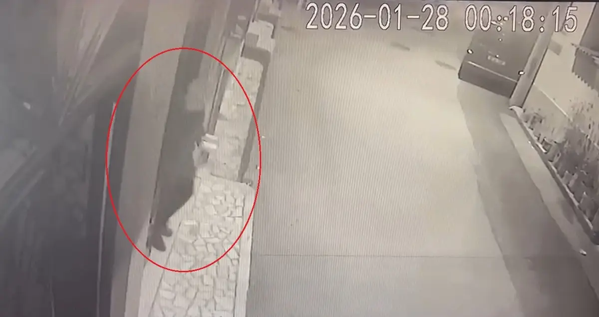 Kocasını öldürüp satırla 15 parçaya ayırdı! Kurtulmak için karakola gidip kayıp dedi 7