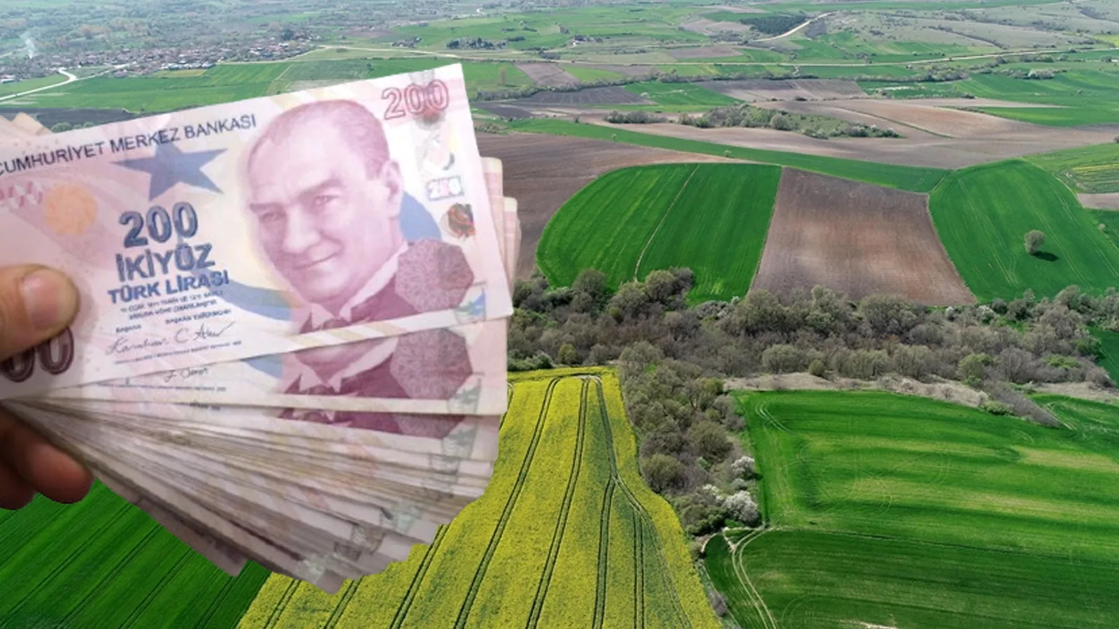 En Ucuz Arsalar Hangi İllerde? Yatırım Fırsatları!