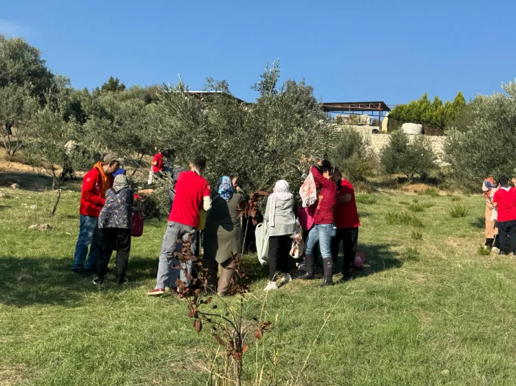 Engelliler İçin Zeytin Hasadı ve Piknik Keyfi