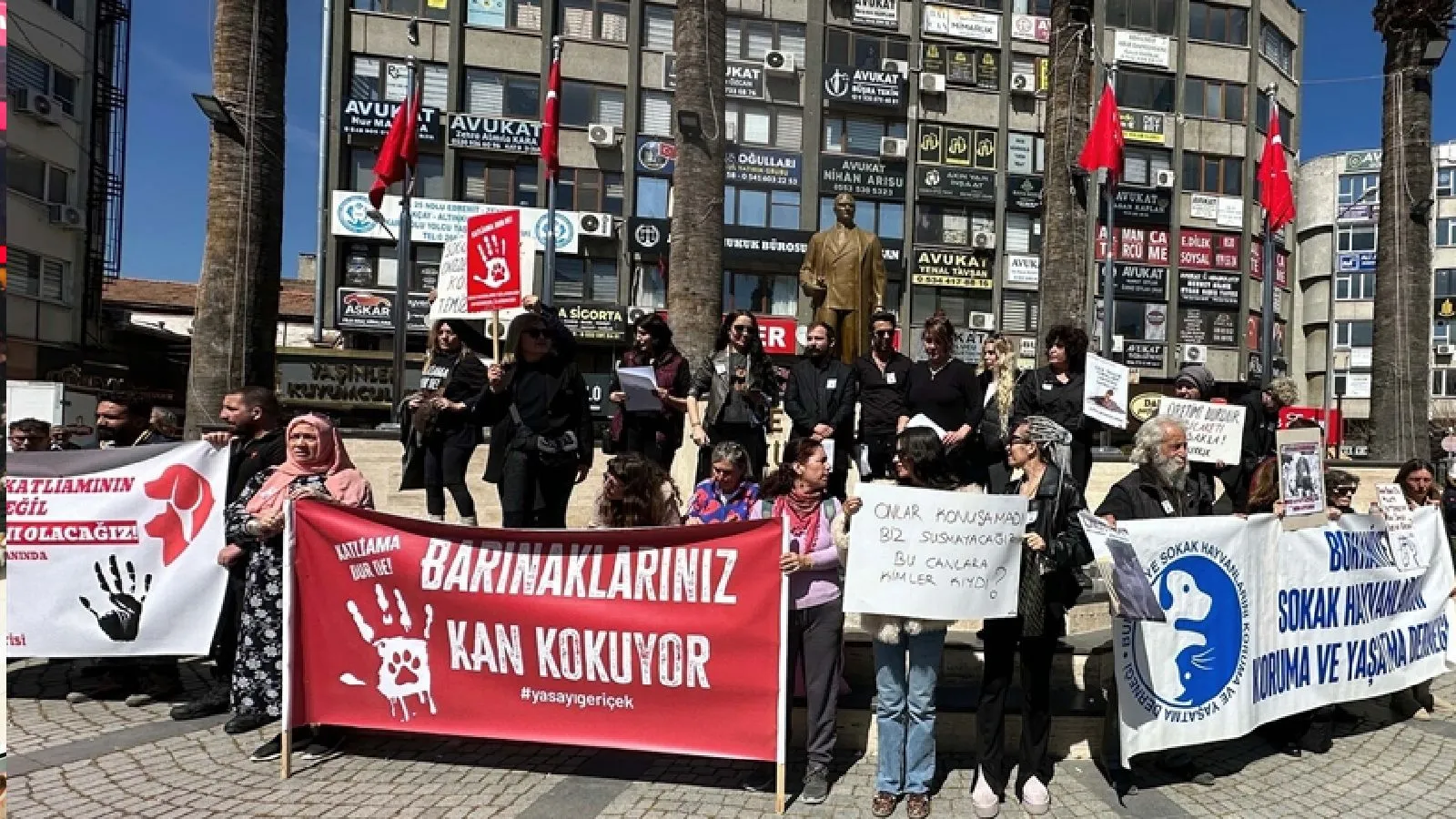 Erdemit’te 40 Sokak Köpeği Ölü Bulundu! Protesto Var!