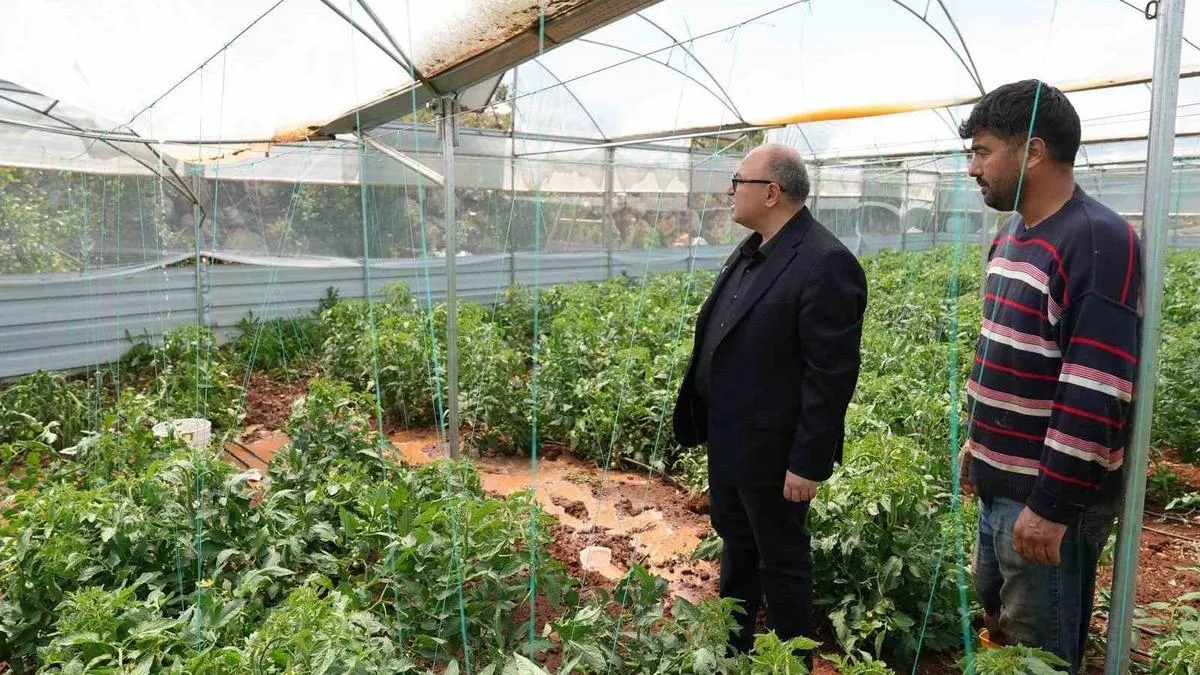 Erdemli’de Dolu Tarımda Büyük Hasara Yol Açtı!