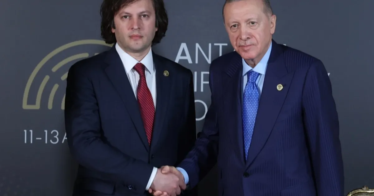 Erdoğan, Gürcistan Başbakanı ile Acil Görüşme