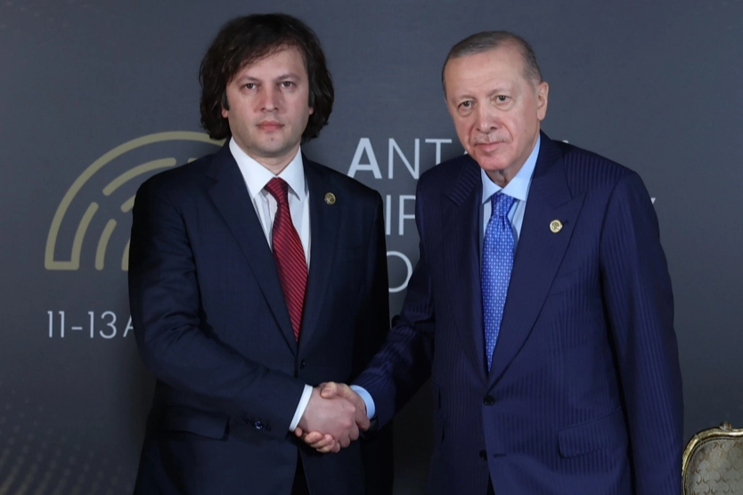 Erdoğan, Gürcistan Başbakanı ile Uçak Kazasını Görüştü