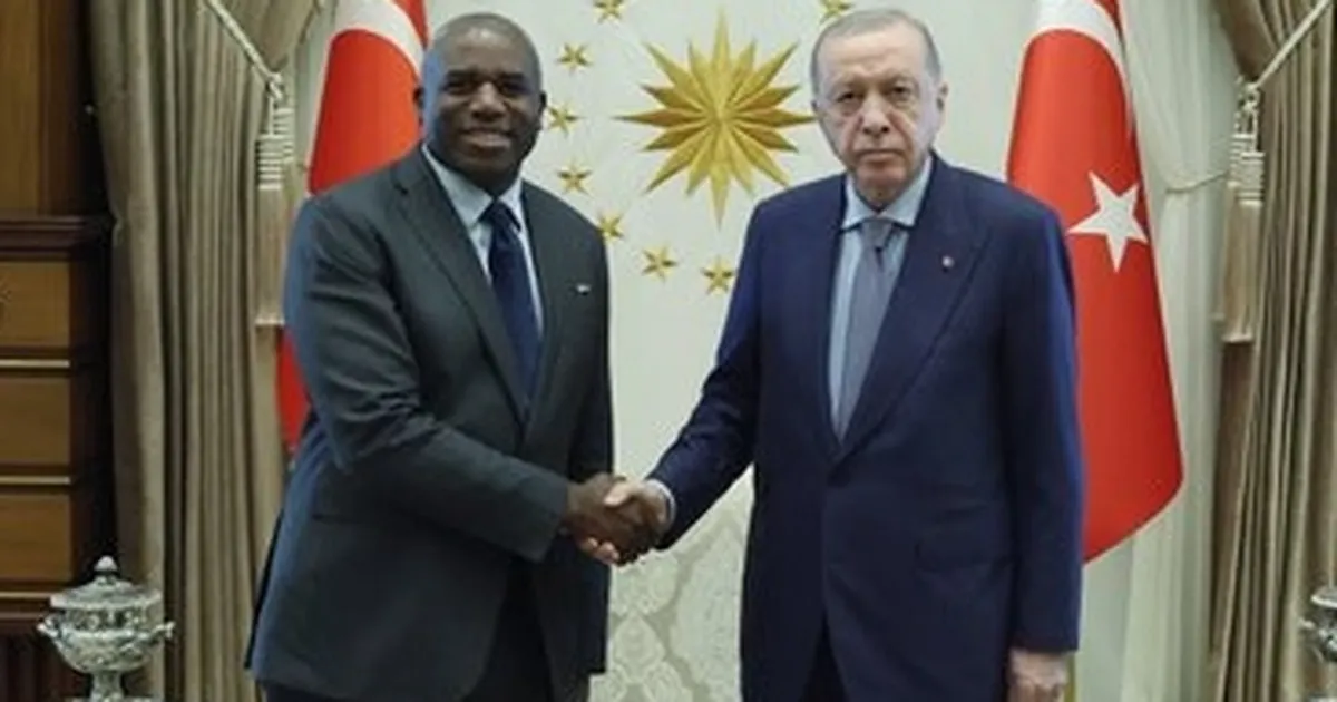 Erdoğan, İngiltere Dışişleri Bakanı Lammy’yi Ağırladı