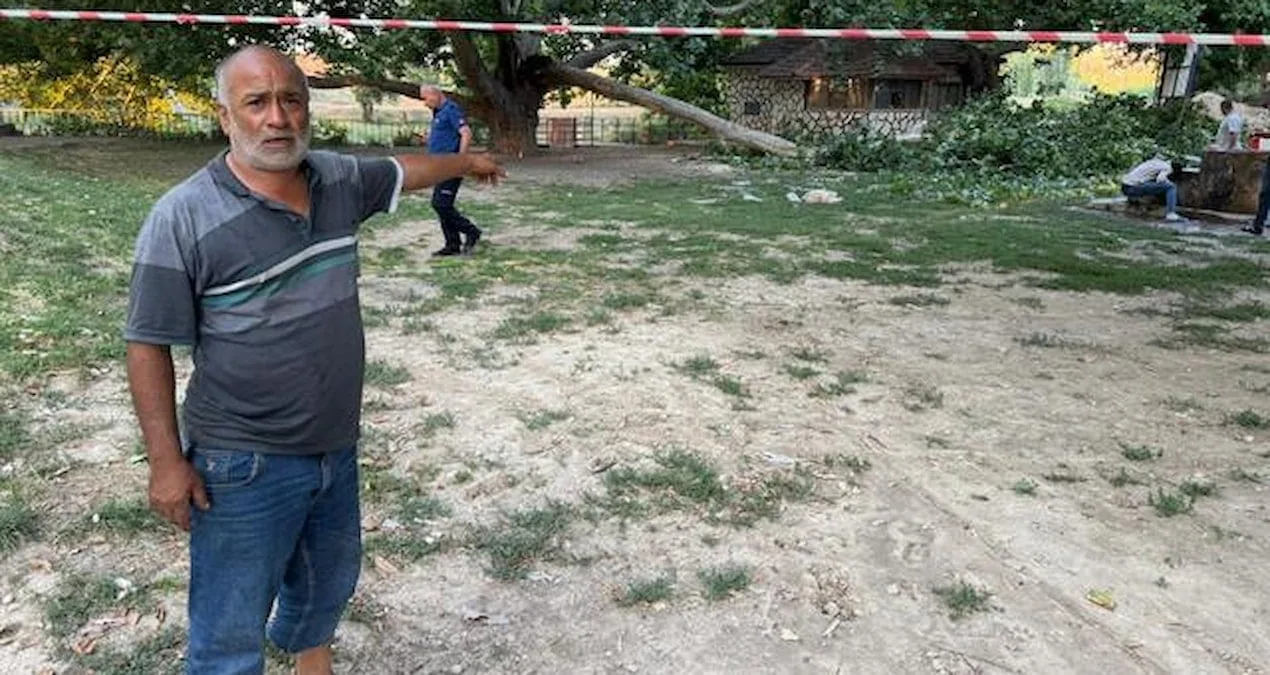 Ereğli’de Piknikte Ağaç Dalı Devrildi: 11 Yaralı!