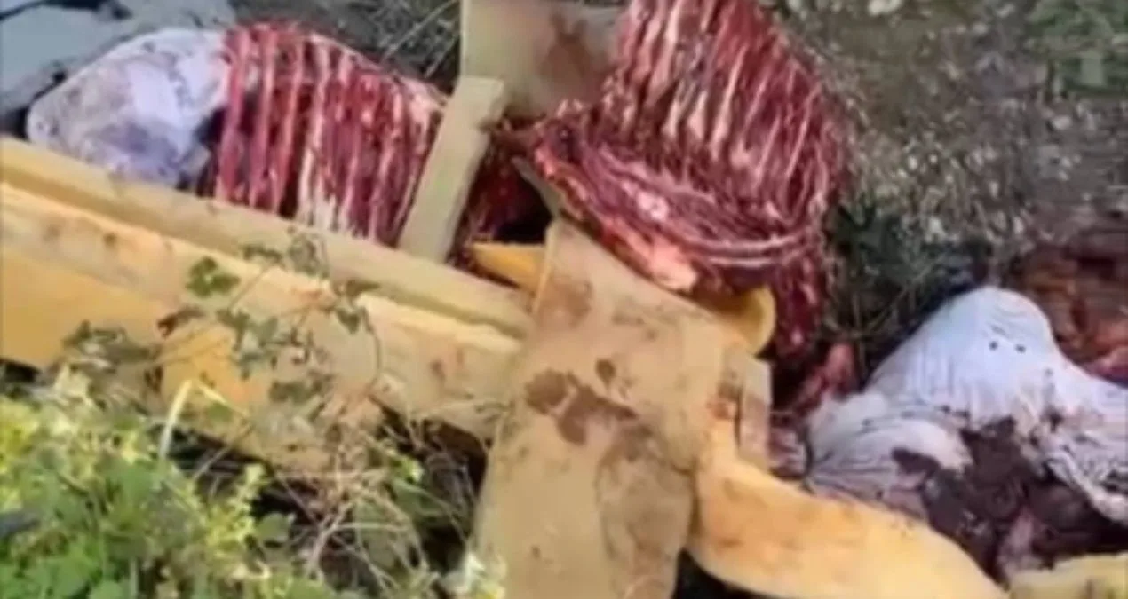 Erenler’de At Kemikleri Skandalı: 3 Şüpheli Yakalandı!