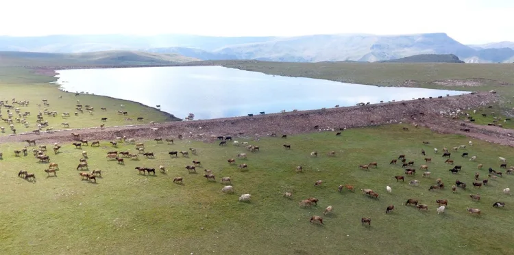 Erzurum’da Tarım ve Hayvancılıkta Yeni Model!