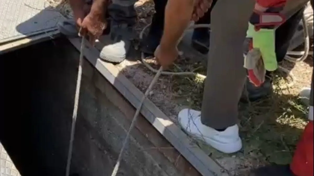 Eşek, 3 Metre Derinlikten Kurtarıldı!
