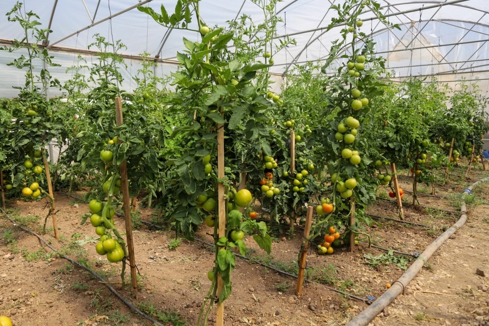 Eskişehir’de Çiftçi Destekleme Merkezi Kuruluyor!