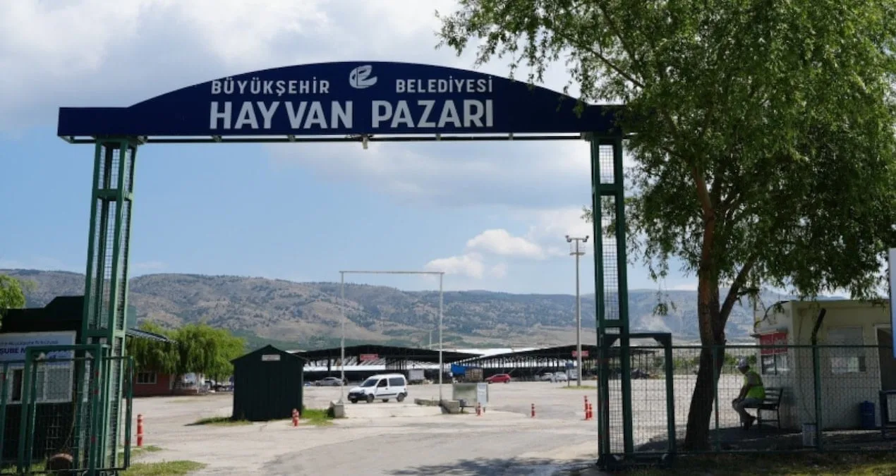 Eskişehir’de Hayvan Pazarı, Şap Nedeniyle Kapalı!