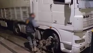 Sivas’ta 12 kilo uyuşturucu ele geçirildi: 2 tutuklama