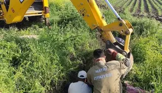 Antakya’da kuyuya düşen büyükbaş hayvan kurtarıldı