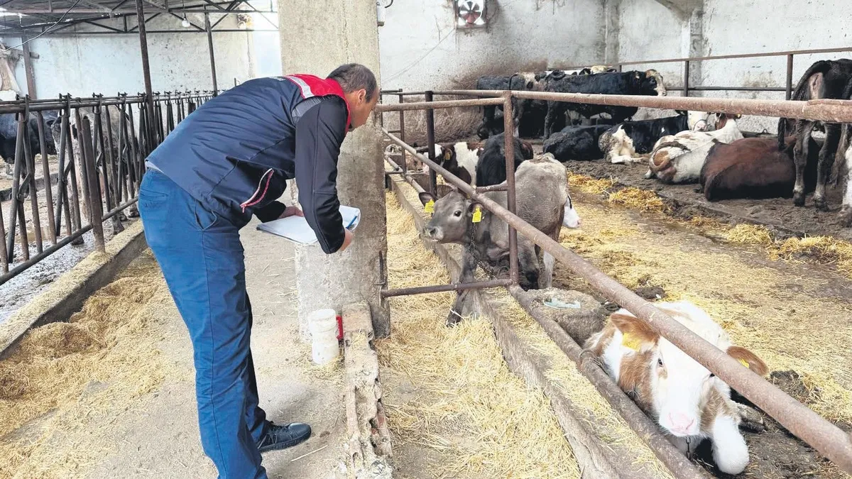 Et Fiyatları Manipülasyonu: 30 Gözaltı!