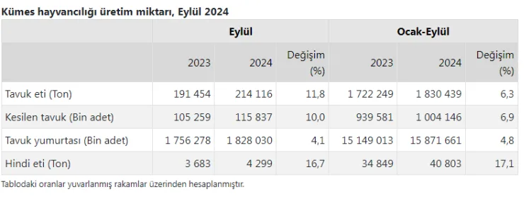 Tavuk Üretimi İstatistikleri