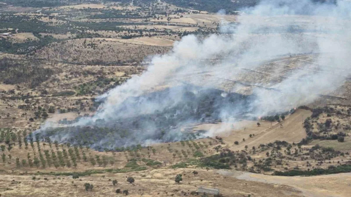 Ezine’de Kırsalda Yangın Paniği!