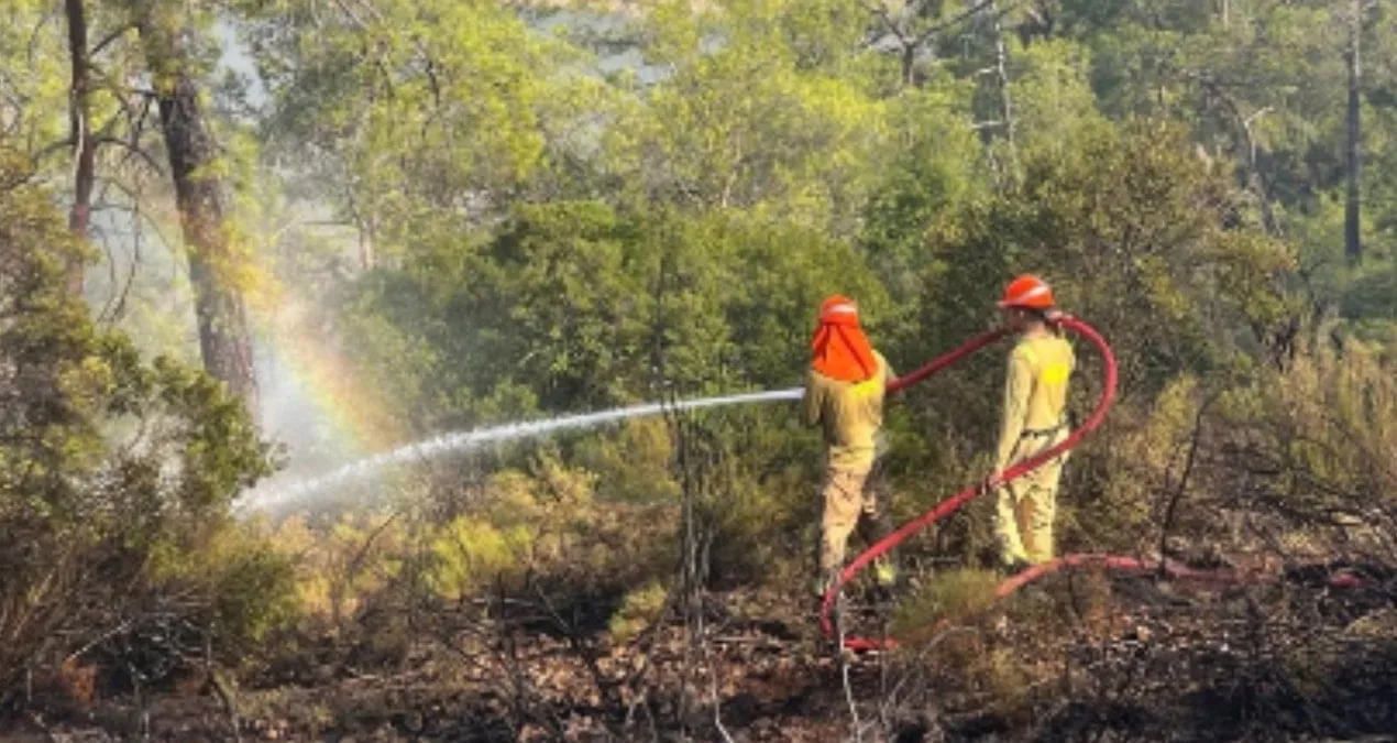 Fethiye’de Orman Yangını: 2,5 Saatte Kontrol Altında!