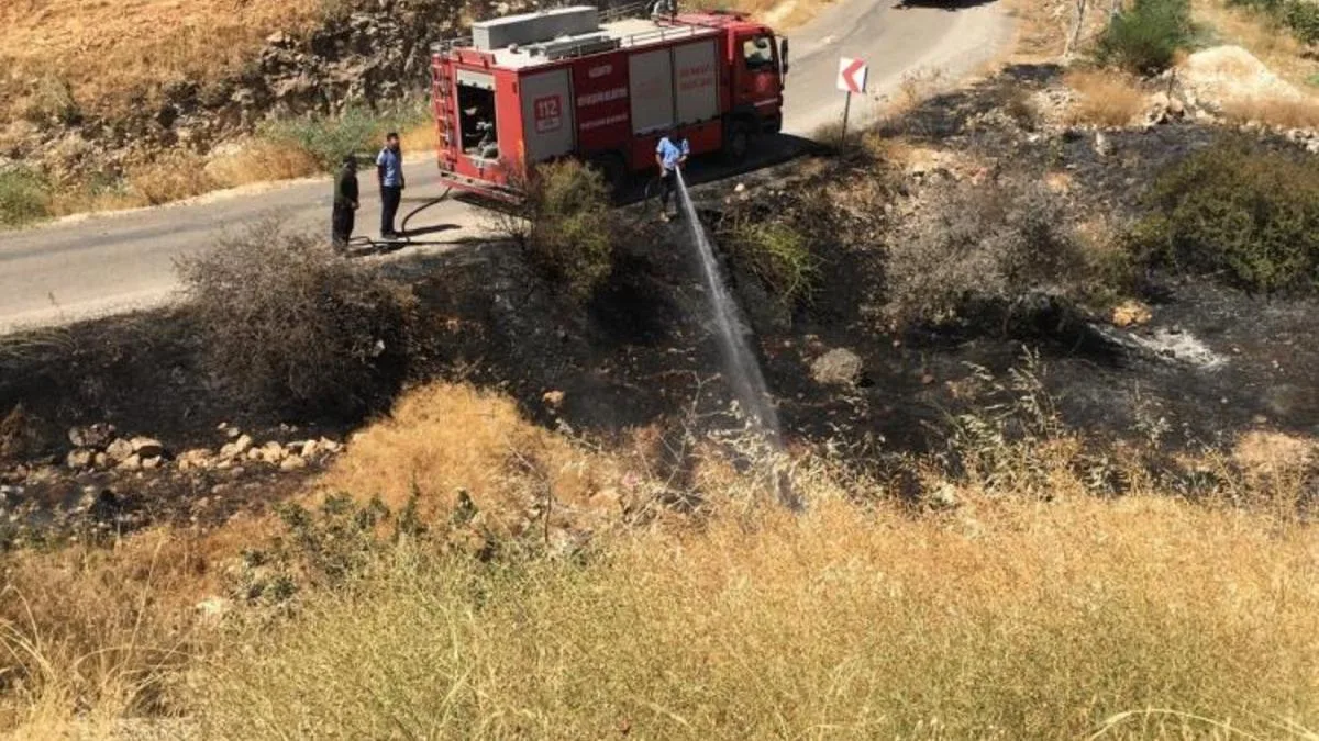 Fıstık tarlasında yangın: Ekipler seferber oldu!