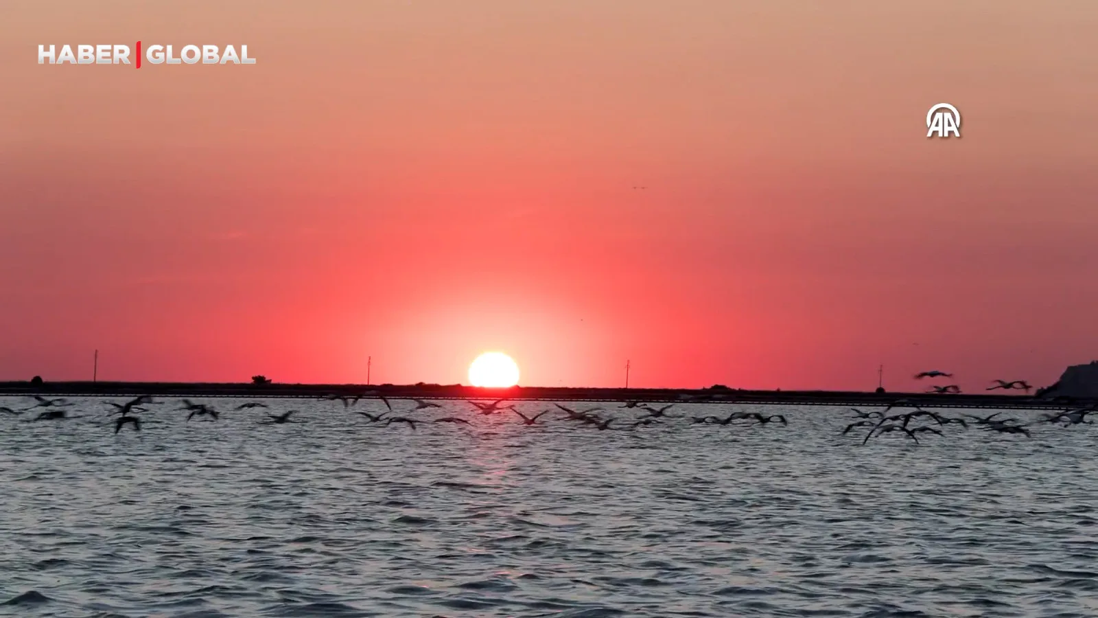 Flamingo Yavruları Gediz Deltası’nda Kanat Çırpıyor