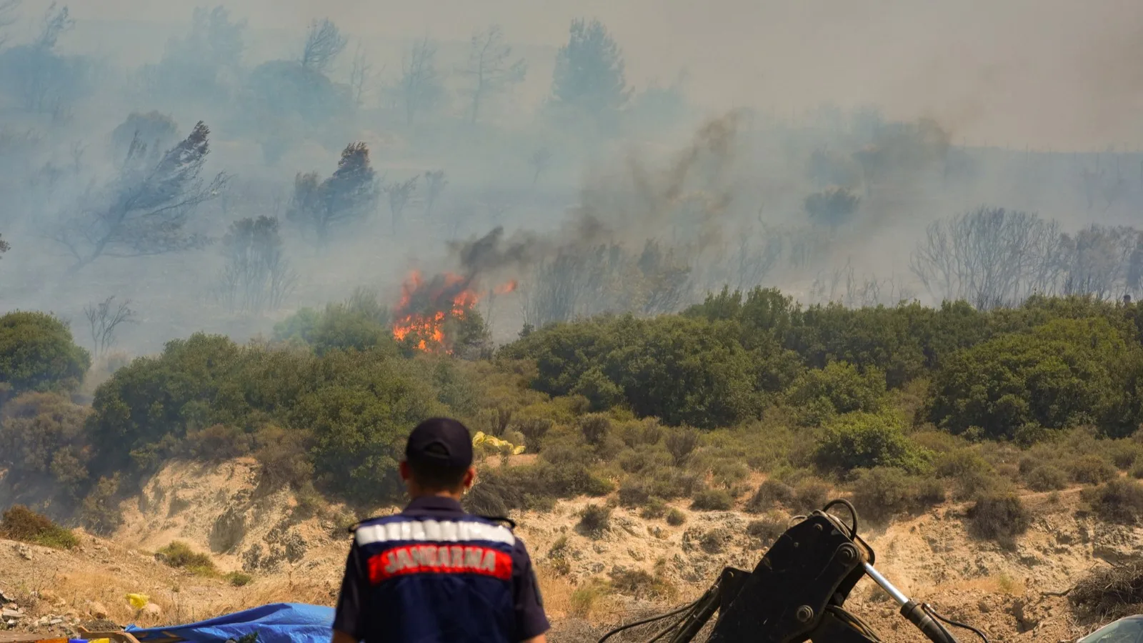 Foça’da Orman Yangını: 8 Saat Süren Mücadele!