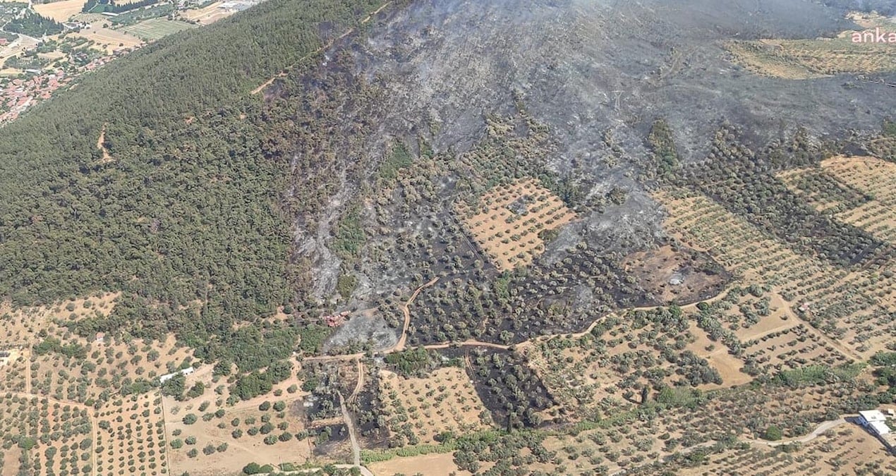 Foça’daki Orman Yangını Hızla Kontrol Altına Alındı
