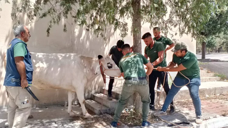 Gaziantep Doğal Yaşam Parkı’na 90 Bin Ziyaretçi