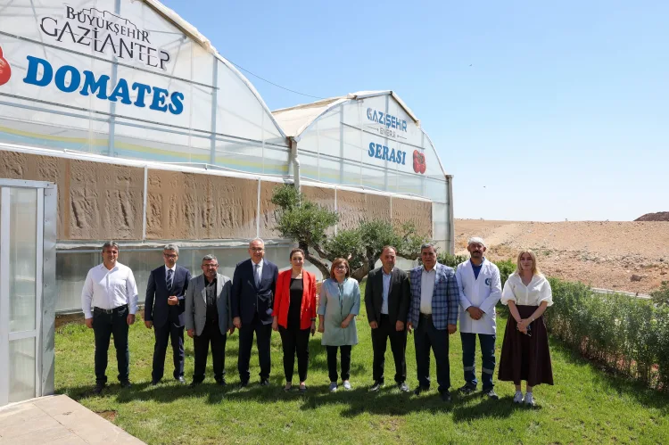 Gaziantep’te Çöpten Domates ve Çilek Üretimi!