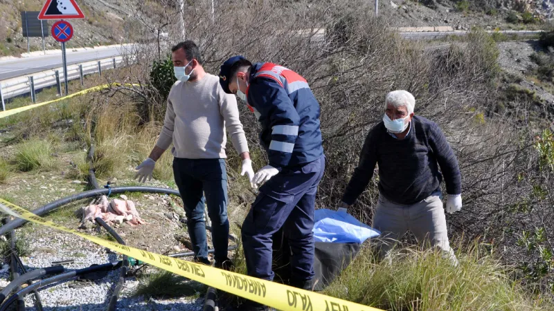 Gazipaşa’da Şok: Yol Kenarında Kadın Cesedi Bulundu!