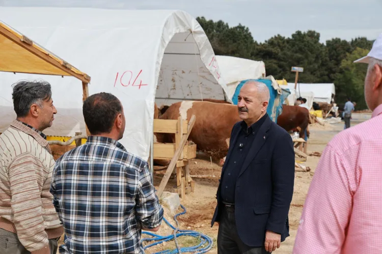 Gebze’de Kurban Bayramı Hazırlıkları Tamamlandı