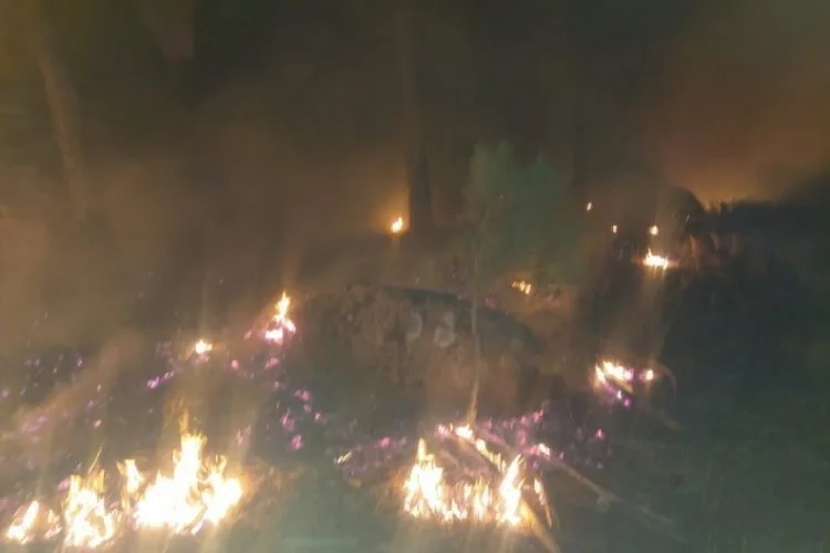 Gece Yarısı Yatağan’da Orman Yangını!