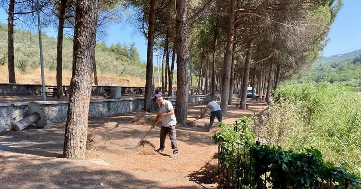 Gemlik Kurtul Piknik Alanı’nda Temizlik Seferberliği
