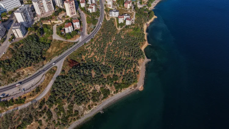 Gemlik’te 1 Km’lik Yeni Sahil Yürüyüş Yolu!