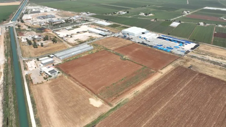 Genç Mühendislerden Şanlıurfa’da Safran Hamlesi!