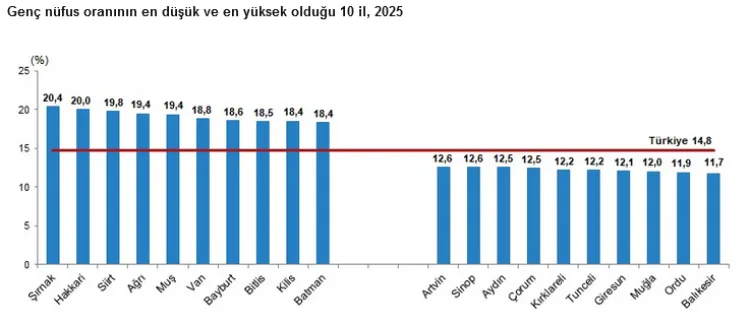 Genç Nüfusta Düşüş, Yapay Zeka Kullanımı Artıyor