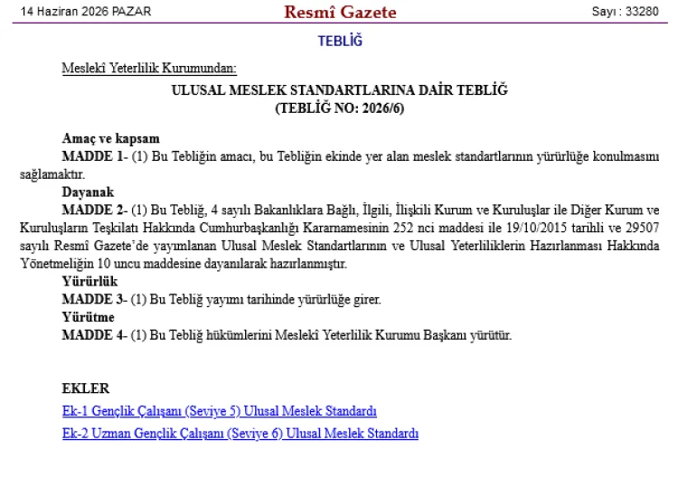 Gençlik Çalışanları için Yeni Meslek Standartları