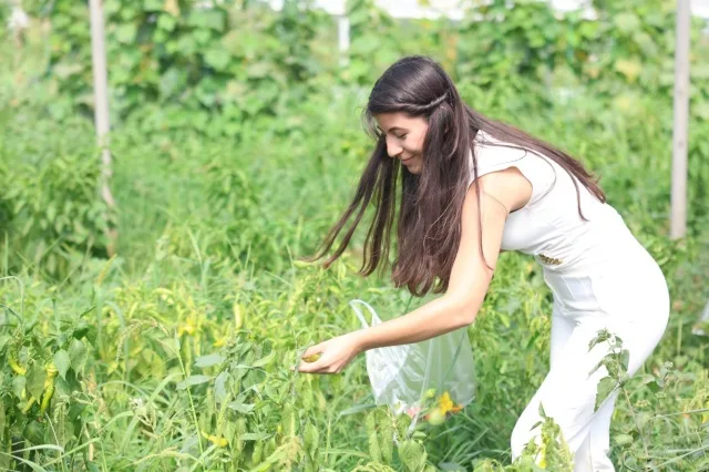 Gıdanın Sanatla Buluşması: Osmangazi’de Atölye!