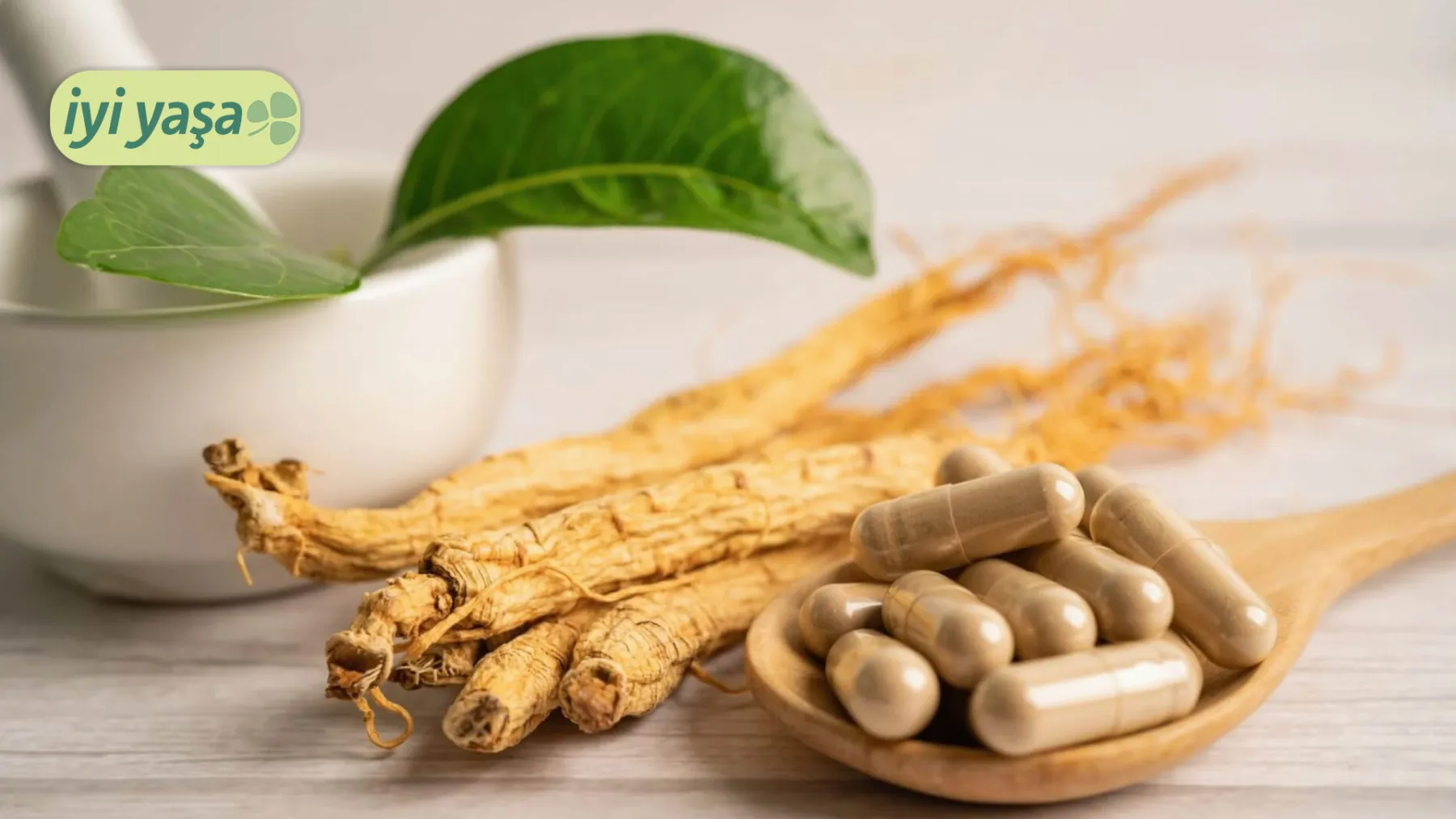 Ginseng: Doğanın Şifalı Gücü ve Faydaları