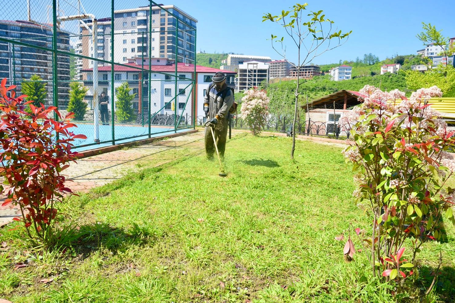 Giresun’da Yaz Mesaisi: Yeşil Alanlar Yenileniyor