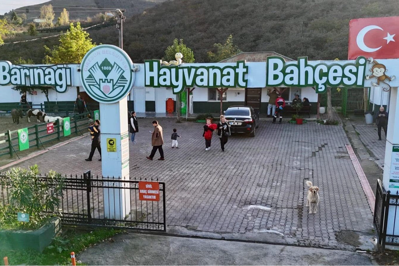 Giresun Hayvan Barınağı 2025’te Önemli Başarılar Elde Etti