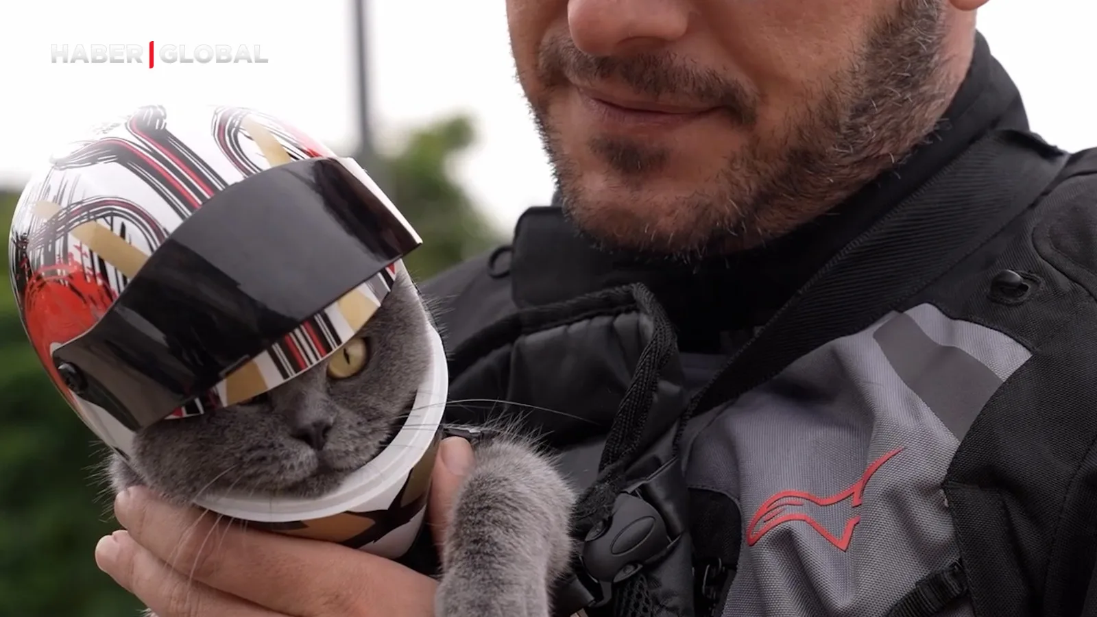 Gofret Kedi, İstanbul Sokaklarında Motosiklet Turu!