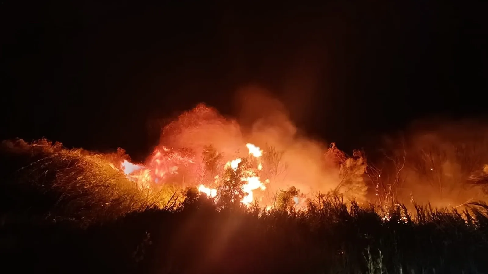 Göksu Deltası’nda Korkutan Yangın Alarmı!