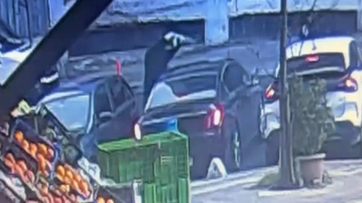 GPS ile Takip Edilen Cinayet: 11 Gözaltı!