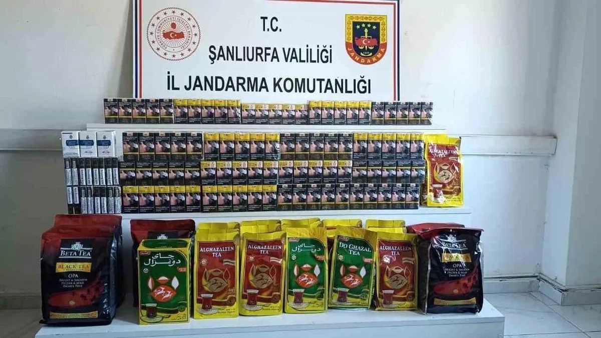 Gümrük Kaçağı Sigara ve Çay Operasyonu: 24 Gözaltı