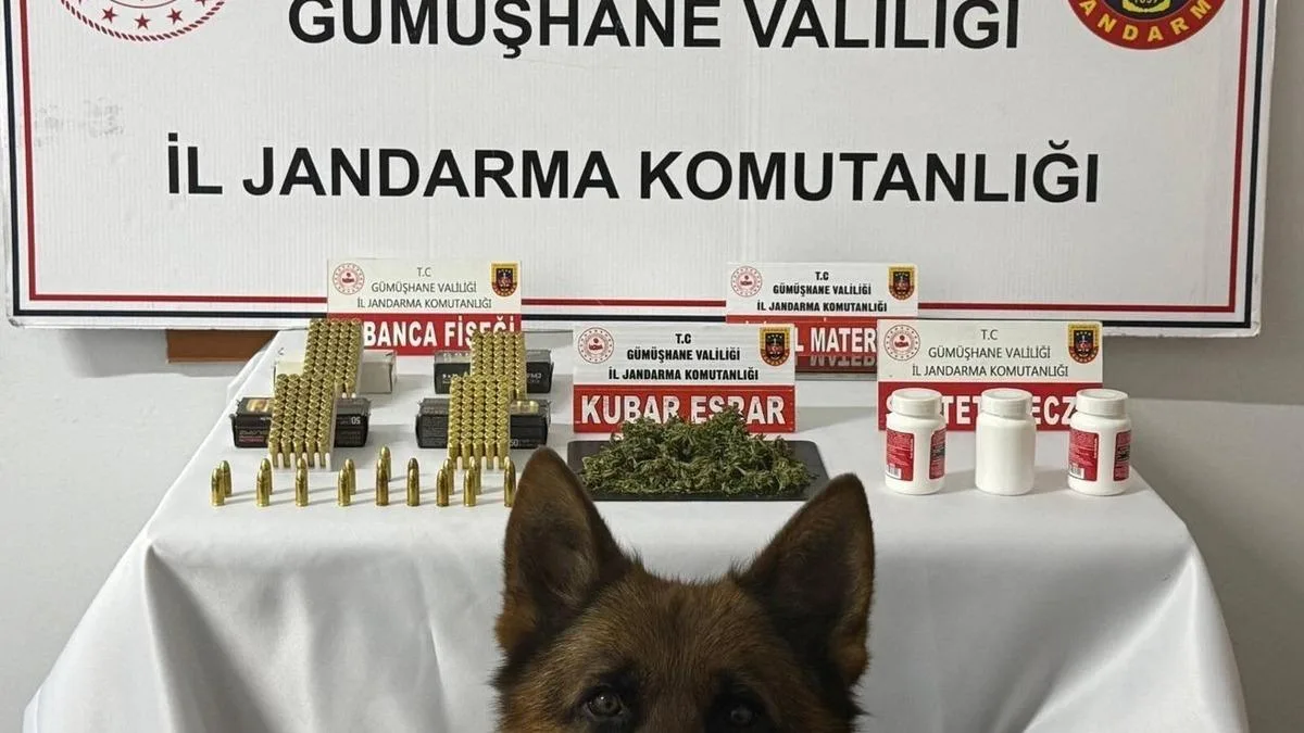 Gümüşhane’de Uyuşturucu Operasyonu: 1 Gözaltı