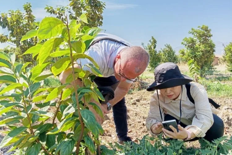 Güney Koreli Tarım Uzmanları Bursa’da İnceleme Yaptı