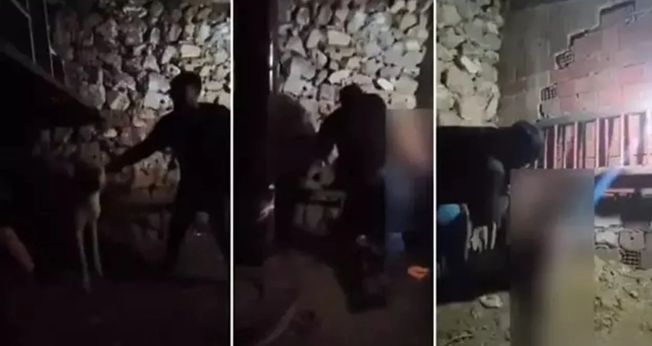 Güvercin Kavgası: Genç Çocuğa Şiddet Uygulandı