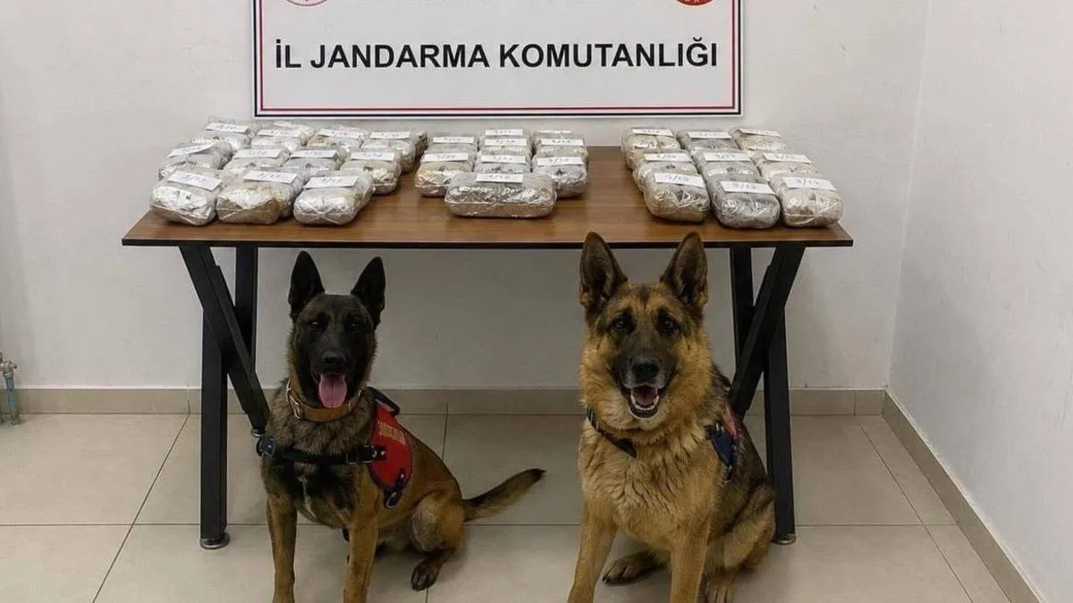 Hakkari’de Uyuşturucu Operasyonu: 21 Kilo Ele Geçirildi