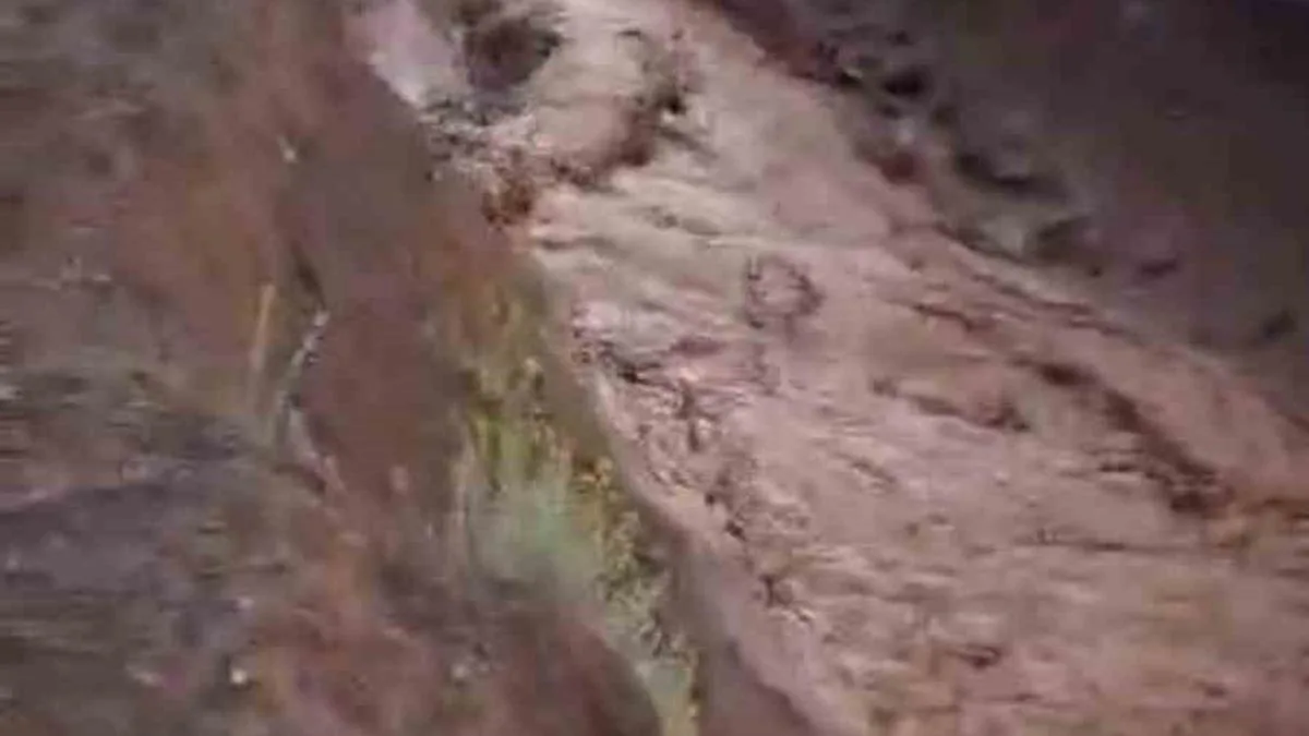 Hakkari’de Yılan Alarmı: Ekipler Tavan Arasında!