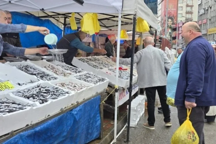 Hamsi Bol, Fiyatlar Düştü: Balık Sezonu Başladı!